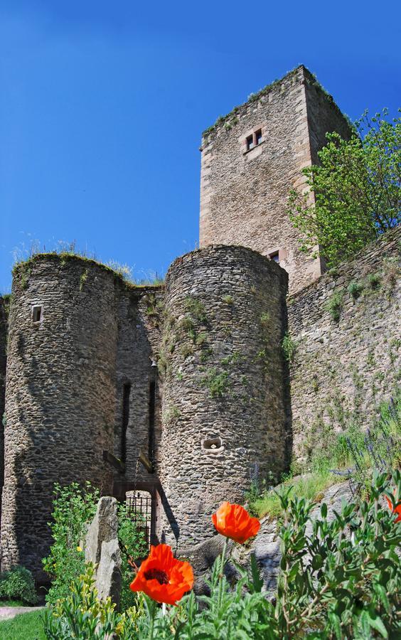 Chambre D'Hotes Au Chateau De Belcastel Belcastel  Экстерьер фото